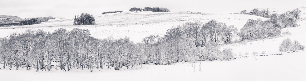 from B950 &copy; George Logan